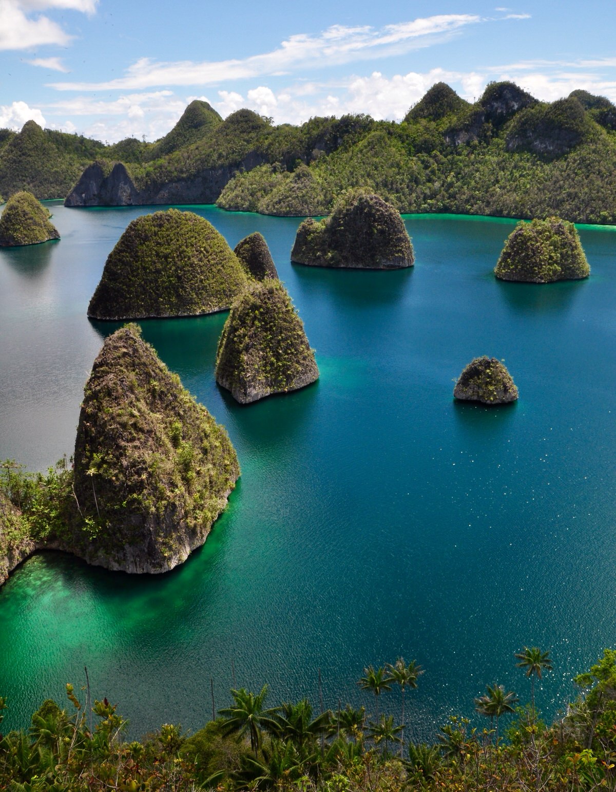 Raja Ampat Liveaboard Journey To The Jewels Of Indonesia Hello Indo